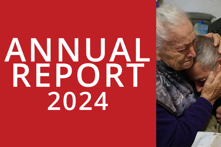Annual report 2024 news post thumbnail